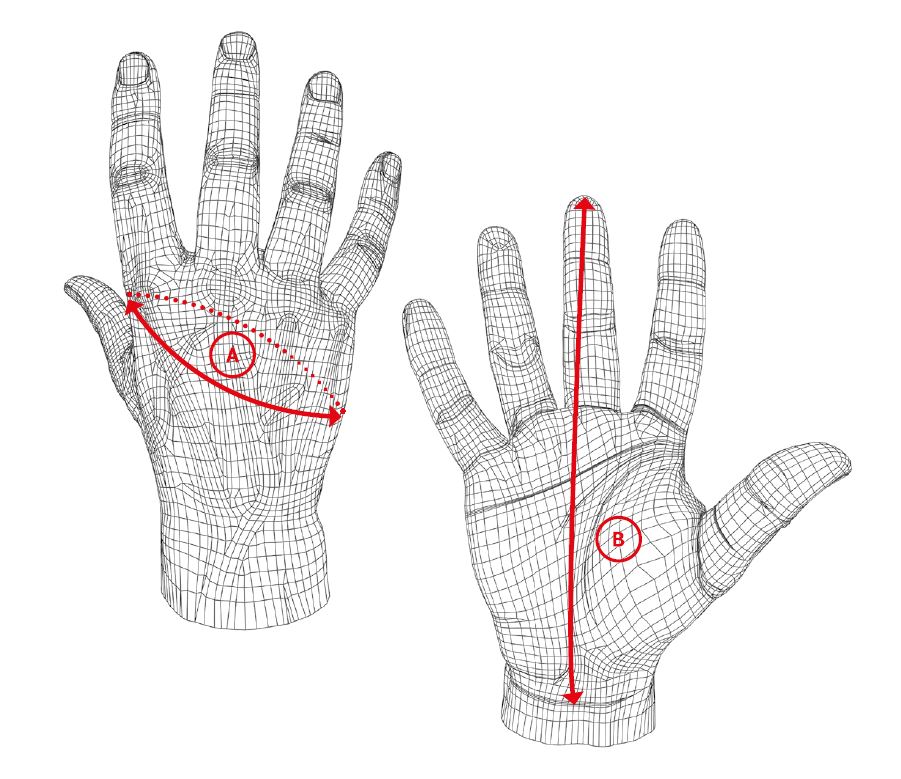 Five Gloves Measuring
